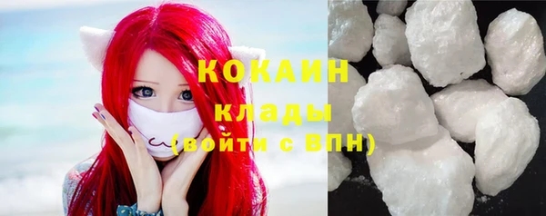 прущие грибы Сатка