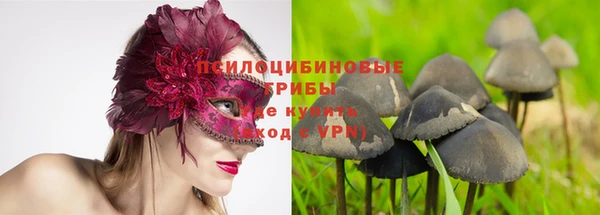твердый Абаза
