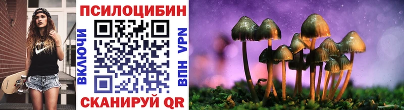 Псилоцибиновые грибы GOLDEN TEACHER  где продают   Новосиль 